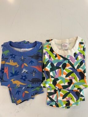 Kids' Blue Dinosaur & Multicolor Toucan Short Pajama Set by Hanna Andersson